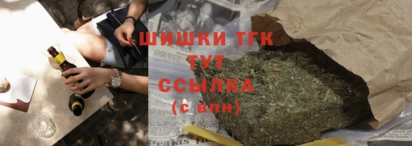 прущие грибы Богданович