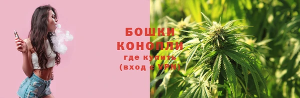 амф Богородск