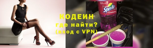 прущие грибы Богданович