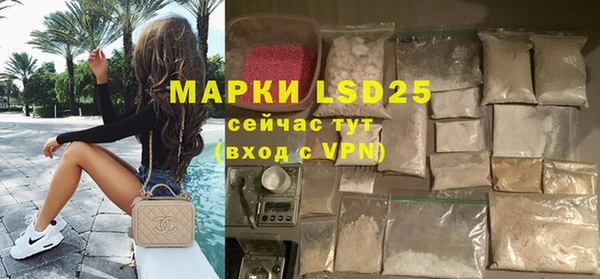 прущие грибы Белокуриха