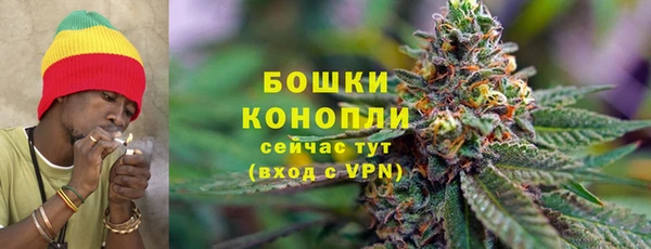 прущие грибы Богданович