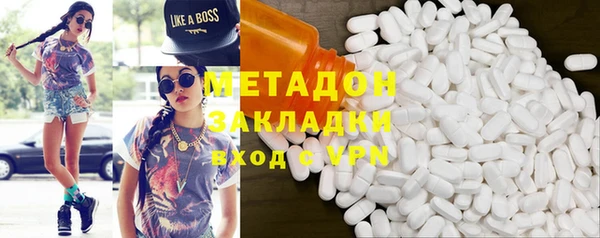 прущие грибы Богданович