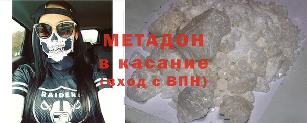 прущие грибы Богданович