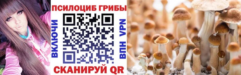 Галлюциногенные грибы Magic Shrooms  хочу   Бологое 